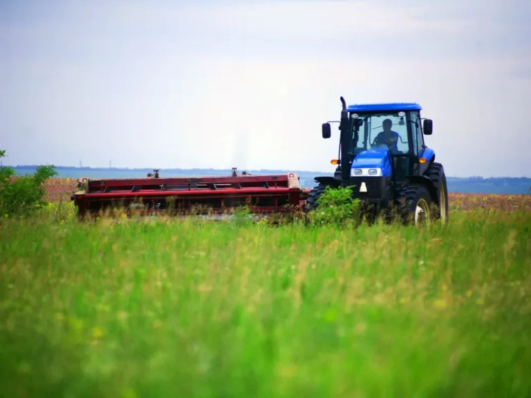 pasture mowing in the Dallas, TX area